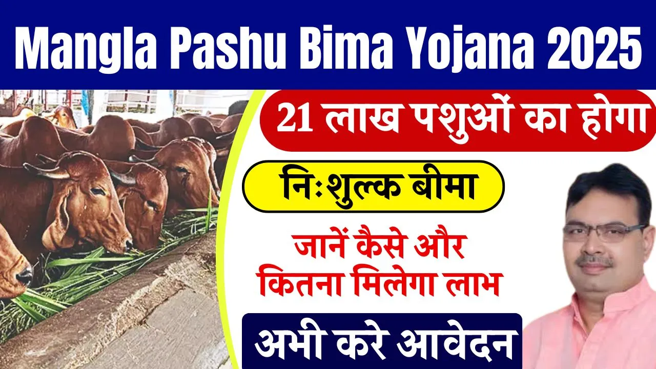 Mangla Pashu Bima Yojana 2025